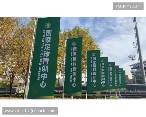 足球青训营系统对未来职业比赛人才培养的长远影响